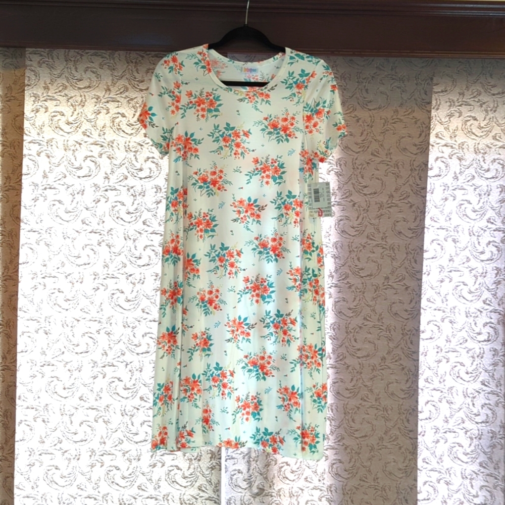 LuLaRoe Jessie Dress size Small NWT